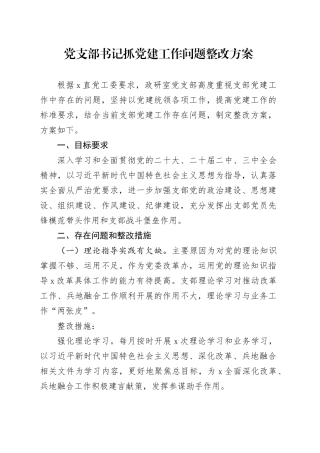 党支部书记抓党建工作问题整改方案