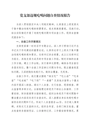 党支部违规吃喝问题自查情况报告