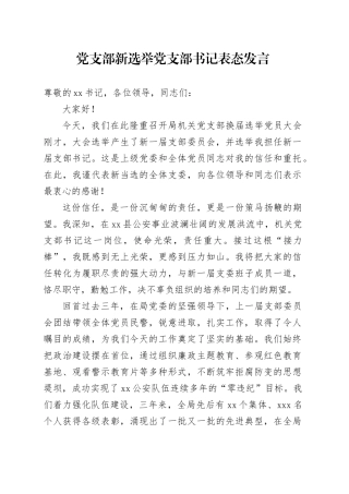 党支部新选举党支部书记表态发言