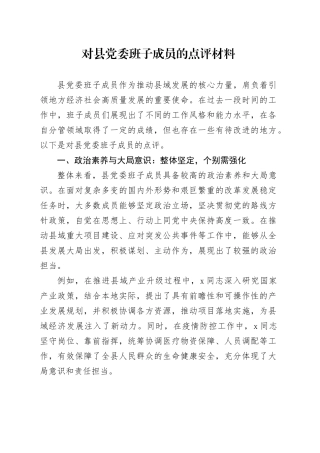 对县党委班子成员的点评材料