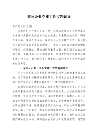 非公企业党建工作专题辅导