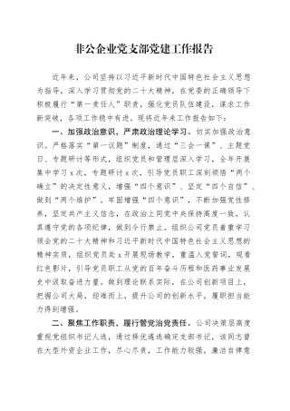 非公企业党支部党建工作报告
