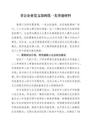非公企业党支部两优一先事迹材料