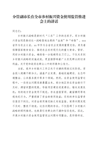 分管副市长在全市乡村振兴资金使用监管推进会上的讲话