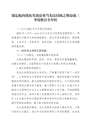 分行2025年半年度总结报告