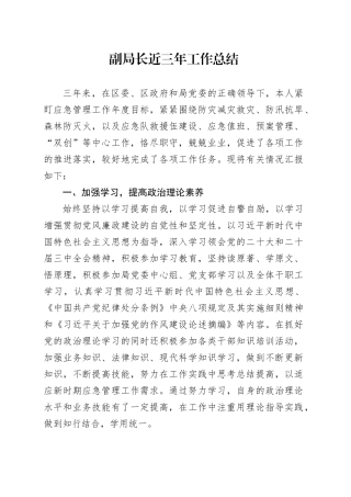 副局长近三年工作总结