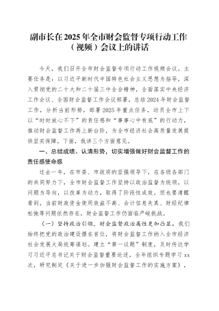 副市长在2025年全市财会监督专项行动工作（视频）会议上的讲话