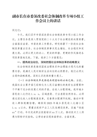 副市长在市委深改委社会体制改革专项小组工作会议上的讲话