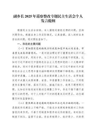 副乡长2025年巡察整改专题民主生活会个人发言提纲