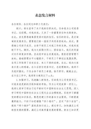 公司党委书记任职表态发言材料