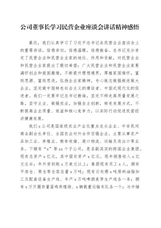 公司董事长学习民营企业座谈会讲话精神感悟