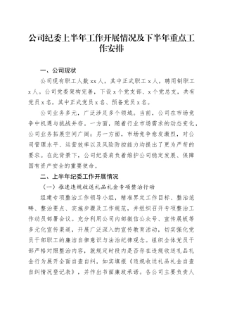 公司纪委上半年工作开展情况及下半年重点工作安排