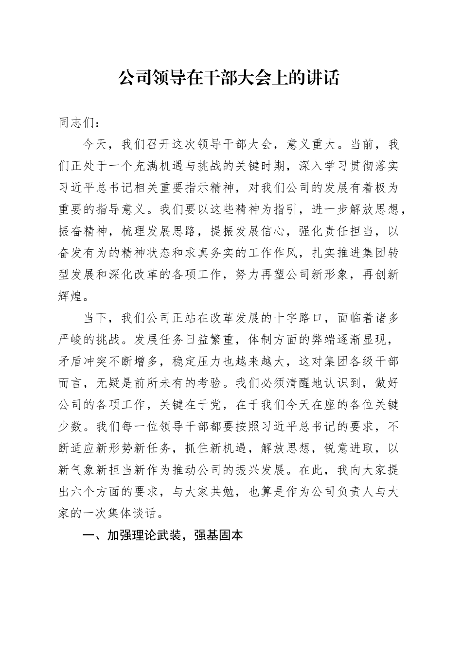 公司领导在干部大会上的讲话_第1页