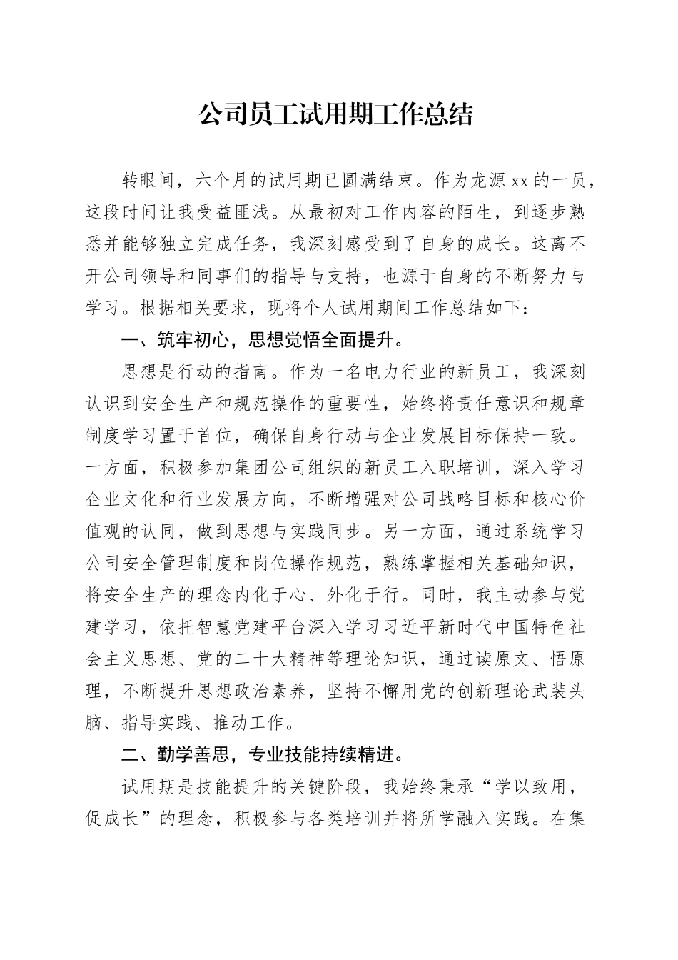 公司员工试用期工作总结_第1页