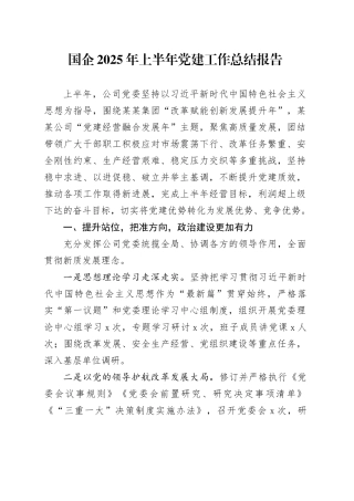 国企2025年上半年党建工作总结报告