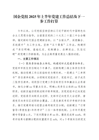 国企党组2025年上半年党建工作总结及下一步工作打算