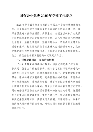 国有企业党委2025年党建工作要点计划公司20250319