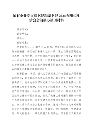 国有企业党支部书记和副书记2024年组织生活会会前谈心谈话材料
