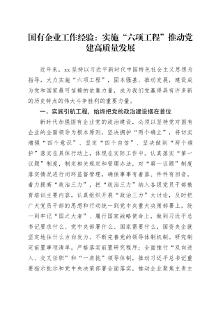 国有企业工作经验实施六项工程推动党建高质量发展公司总结汇报报告材料20250314
