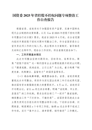 国资委2025年省控股不控权问题专项整治工作自查报告