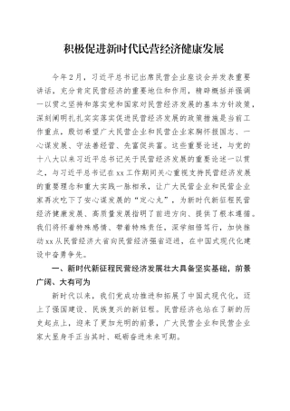 积极促进新时代民营经济健康发展