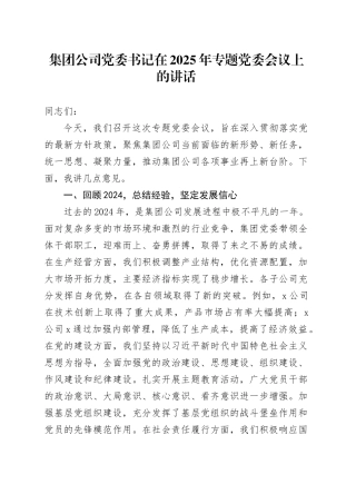 集团公司党委书记在2025年专题党委会议上的讲话