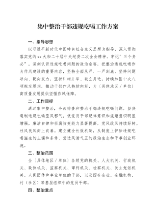 集中整治干部违规吃喝工作方案20250723