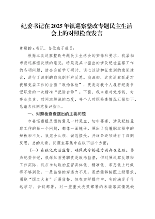 纪委书记在2025年镇巡察整改专题民主生活会上的对照检查发言