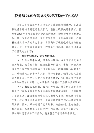 税务局2025年违规吃喝专项整治工作总结