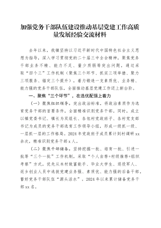 加强党务干部队伍建设推动基层党建工作高质量发展经验交流材料