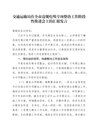 交通运输局在全市违规吃喝专项整治工作阶段性推进会上的汇报发言