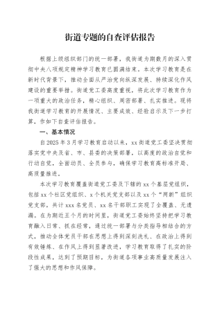 街道专题的自查评估报告