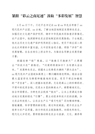 紧跟“彩云之南足迹” 汲取“多彩发展”智慧