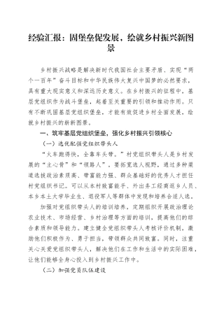 经验汇报：固堡垒促发展，绘就乡村振兴新图景