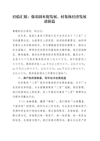 经验汇报：强基固本促发展，村集体经济发展谱新篇