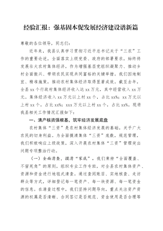 经验汇报：强基固本促发展经济建设谱新篇