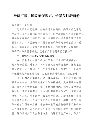 经验汇报：抓改革促振兴，绘就乡村新画卷