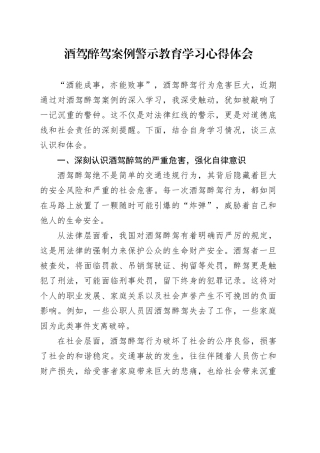 酒驾醉驾案例警示教育学习心得体会