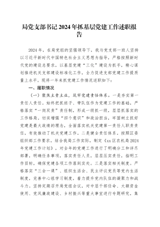 局党支部书记2024年抓基层党建工作述职报告20250312