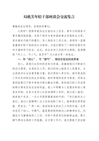 局机关年轻干部座谈会交流发言
