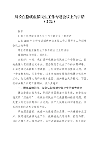 局长在稳就业保民生工作专题会议上的讲话（2篇）