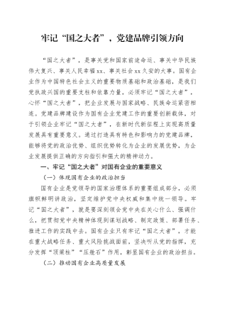 牢记“国之大者”，党建品牌引领方向