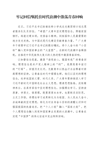 牢记回信嘱托在时代浪潮中激荡青春回响