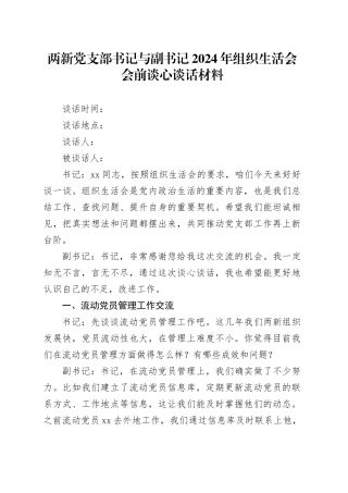 两新党支部书记与副书记2024年组织生活会会前谈心谈话材料
