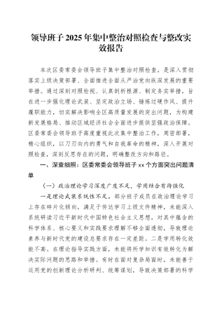 领导班子2025年集中整治对照检查与整改实效报告