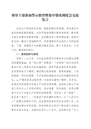 领导干部参加警示教育暨集中整改调度会交流发言