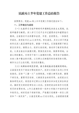 民政局上半年党建工作总结报告