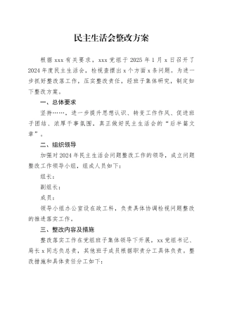 民主生活会整改方案