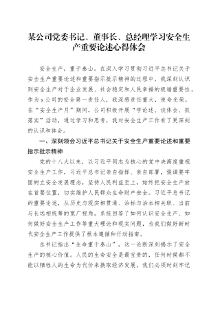 某公司党委书记、董事长、总经理学习安全生产重要论述心得体会