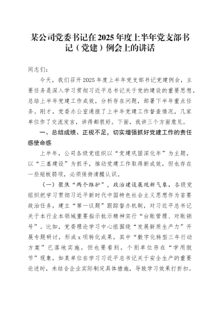 某公司党委书记在2025年度上半年党支部书记（党建）例会上的讲话